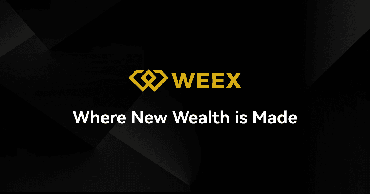 WEEX jest uważany za jedną z najbardziej wydajnych platform krypto do kupowania meme coinów.