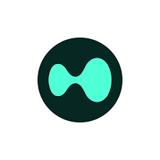Logo Hyperliquid (HYPE)