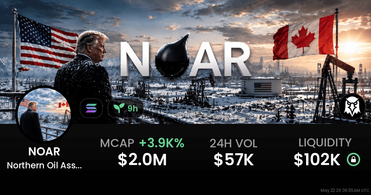 Northern Oil Asset Reserve: co powinni wiedzieć traderzy NOAR