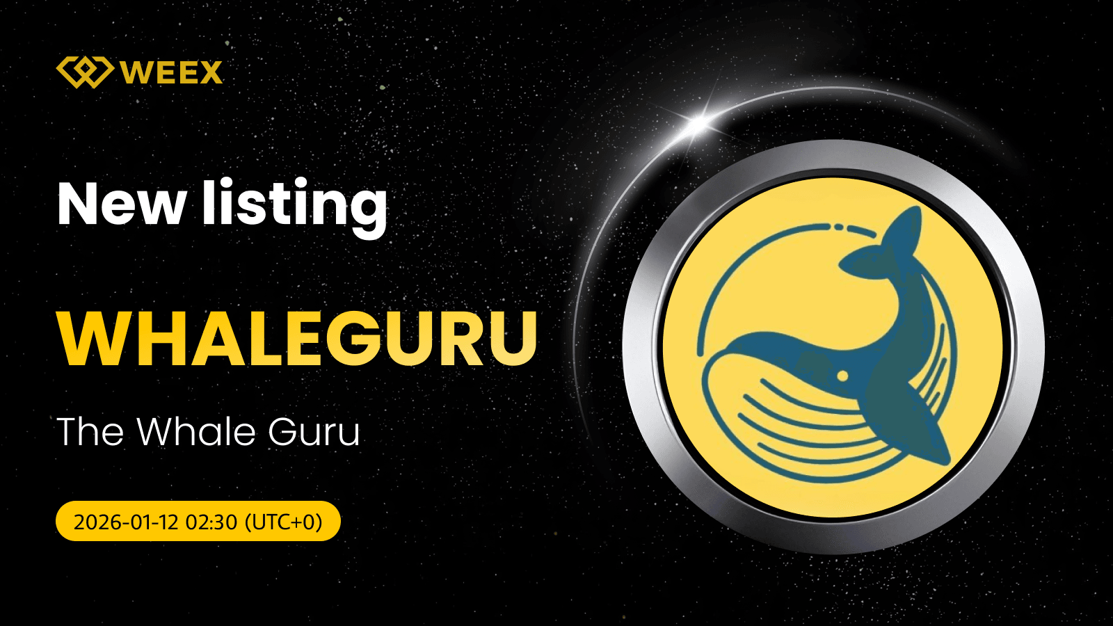 WHALEGURU USDT Now on WEEX: Trade The Whale Guru Coin