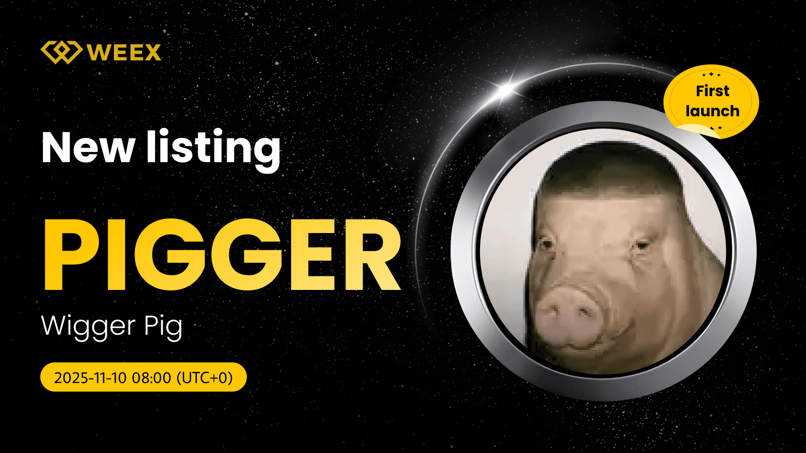PIGGER USDT Listed on WEEX: Wigger Pig (PIGGER) Coin