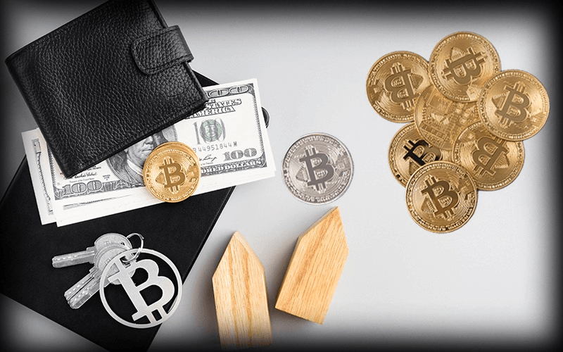 Od portfeli zimnych do gorących: jak wybrać odpowiedni portfel kryptowalutowy dla siebie?