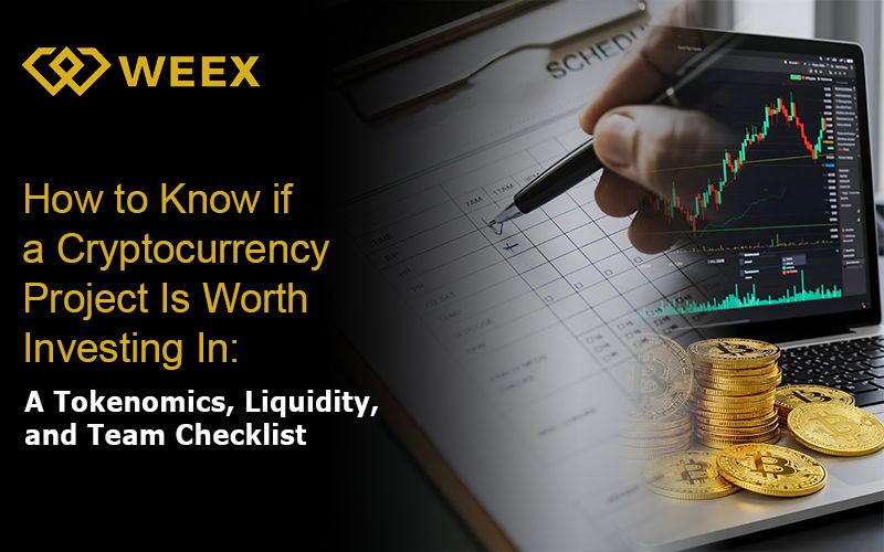 How to Know if a Cryptocurrency Project is Worth Investing In? A Checklist for Tokenomics, Liquidity, and the Team