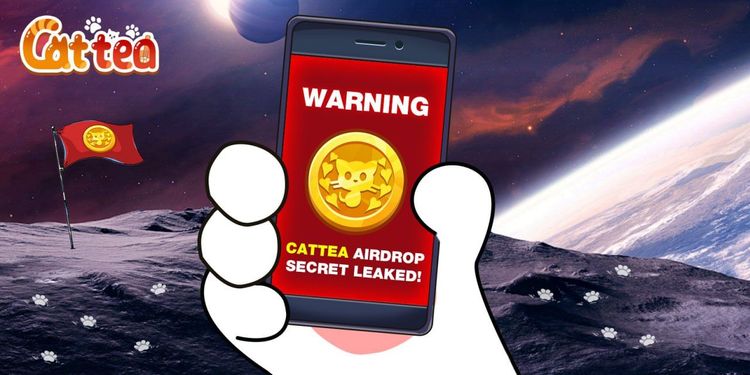 Cattea Daily Combo 12 lutego 2025: Jak odnieść sukces w airdropie Cattea