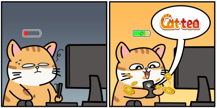Cattea Daily Combo, 5 lutego 2025 r.: Najbardziej wyczerpujący przewodnik po airdropie Cattea