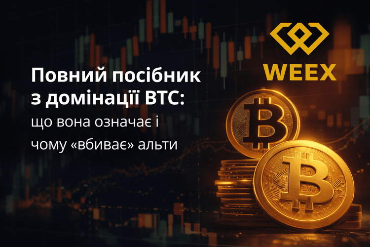 Kompletny przewodnik po dominacji BTC: co to oznacza i dlaczego „zabija” altcoiny