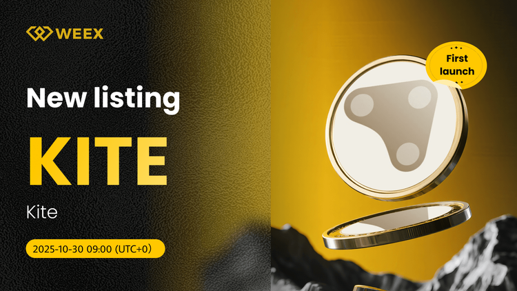 HANDLOWANIE SPOT KITE USDT STARTUJE NA WEEX DLA Kite Coin