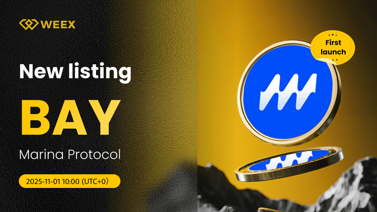 BAY USDT Trading Live: WEEX Lists Protokół Marina (BAY) Moneta