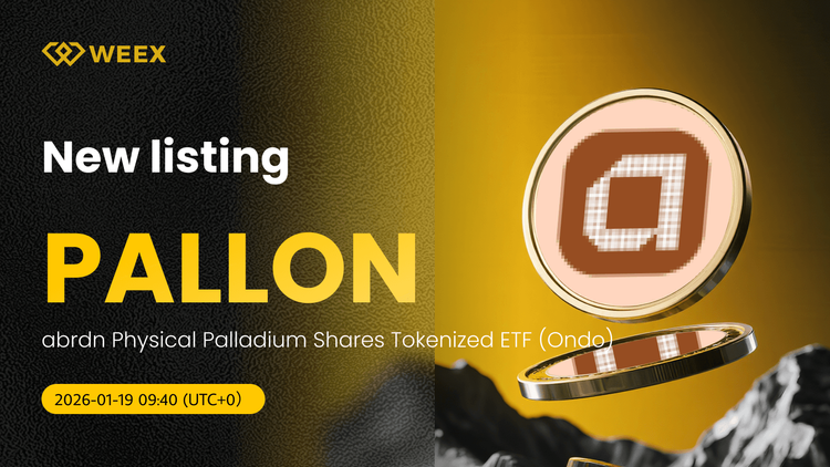 Transakcje PALLON USDT na żywo: Kup monetę PALLON na WEEX Spot