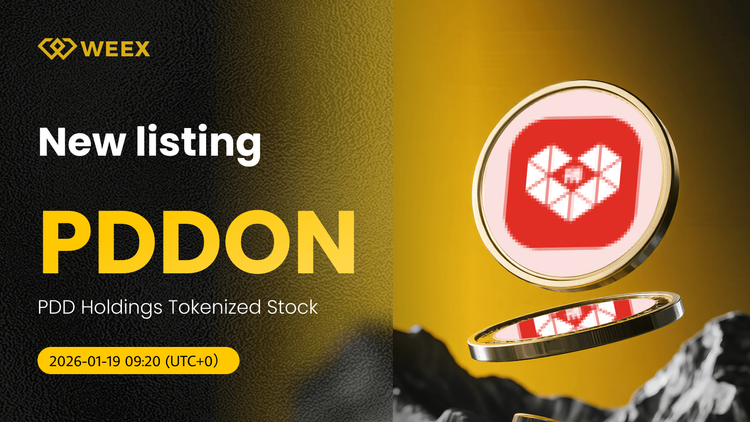 PDDON USDT już dostępny: Tokenizacja akcji PDD Holdings na platformie WEEX Spot