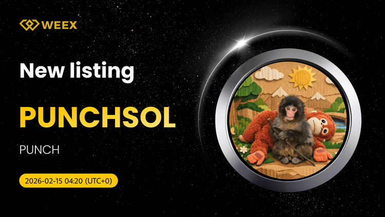 PUNCHSOL USDT Spot Trading otwiera się na giełdzie WEEX