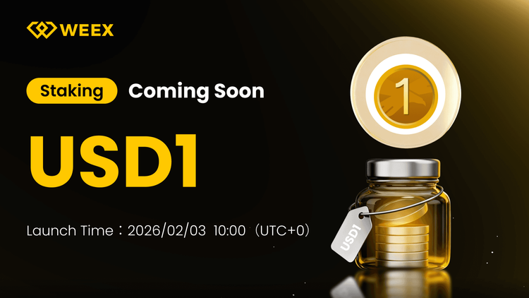 WEEX Staking USD1: Kompletny przewodnik