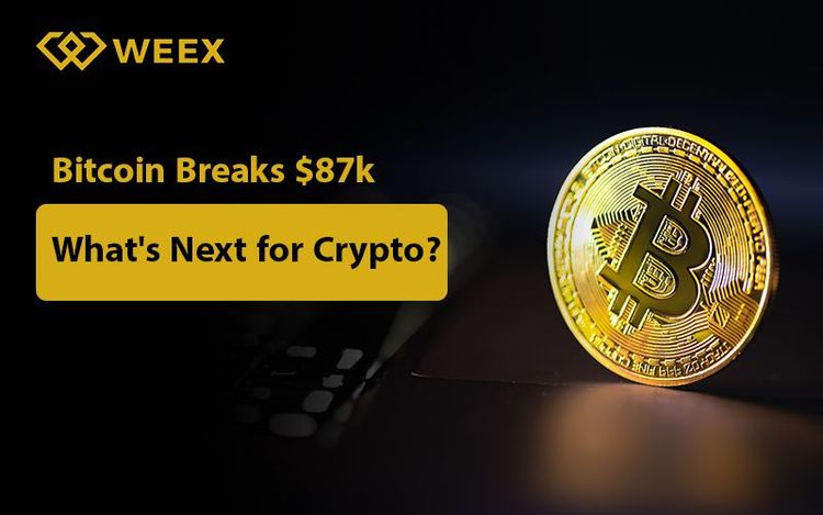 Cena Bitcoina przekracza 87 000 USD: Jaka jest przyszłość kryptowalut?